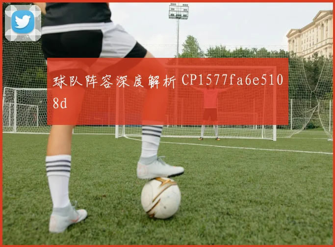 球队阵容深度解析 CP1577fa6e5108d