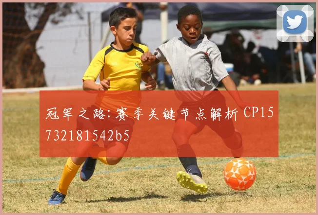 冠军之路:赛季关键节点解析 CP15732181542b5