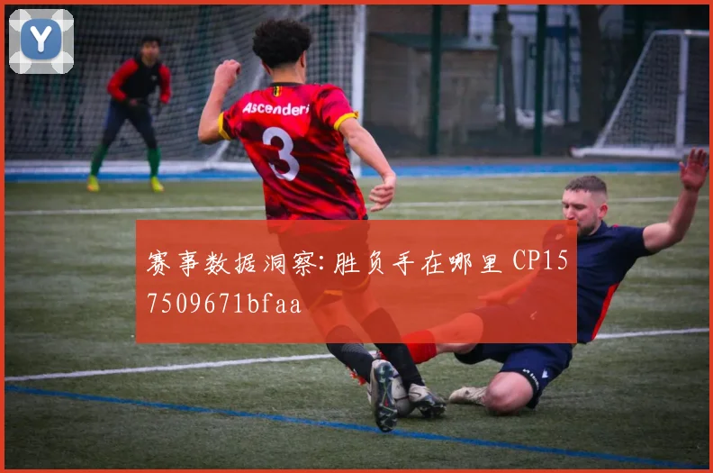 赛事数据洞察:胜负手在哪里 CP157509671bfaa